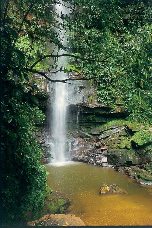 PROMPER&Uacute; presenta rutas tur&iacute;sticas de Tarapoto