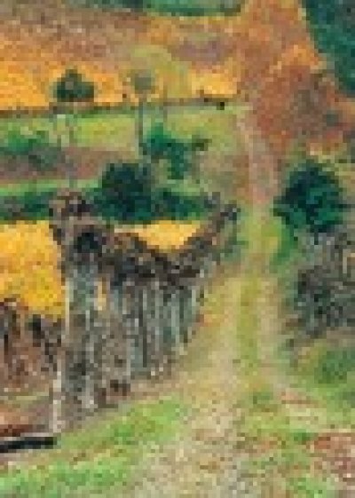 Calendario de Oto&ntilde;o de colores