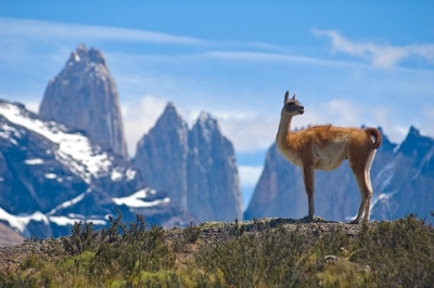Chile:  crece 30% arribo de turistas en temporada estival