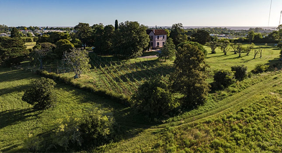 Con viñas y vino propio, Comarca Las Liebres se lanza al enoturismo