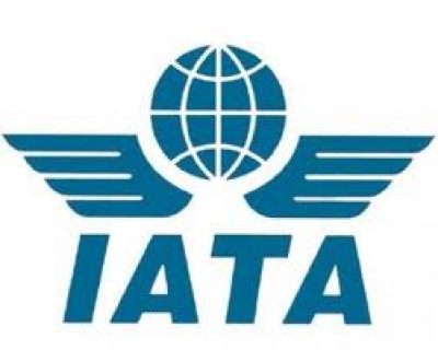 IATA reporta reducci&oacute;n en crecimiento de viajes premium