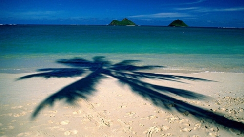 En busca de la anti-Navidad