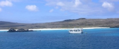 Si Darwin levantara la cabeza