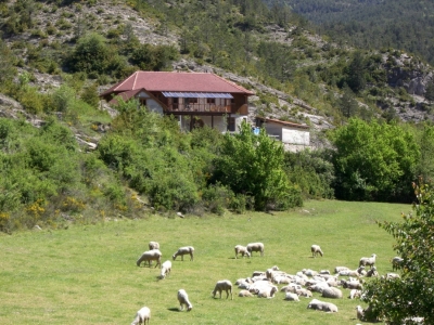 Circuito de agroturismo en la provincia de Misiones