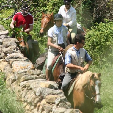 Conceptos, tipos y modalidades de turismo VI.  Turismo rural