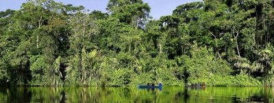 Tortuguero, un paraíso natural y de gente comprometida con la naturaleza