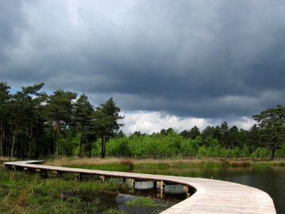El parque nacional de los Van Goghs