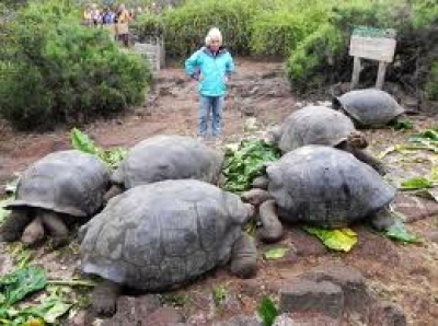 Gal&aacute;pagos puntualiza regulaci&oacute;n de la afluencia de visitantes