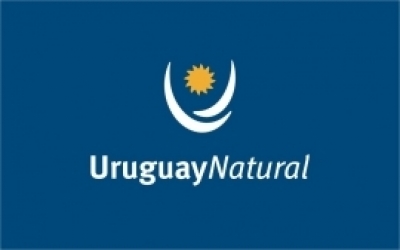 Ministerio de Turismo implementa Call Center para orientar por situaci&oacute;n de Pluna