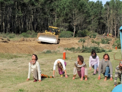 Armon&iacute;a en medio del caos