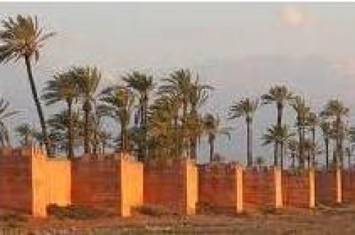Marruecos perfila su estrategia para este a&ntilde;o