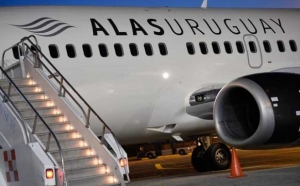 Alas cortadas; de tal palo tal astilla y slots disponibles en el an&aacute;lisis de Alas Uruguay