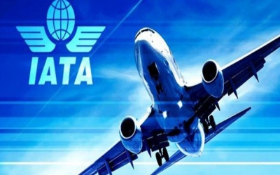 IATA presenta primer reporte mensual del a&ntilde;o con elevado nivel de tr&aacute;fico
