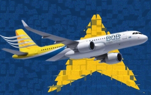 Aerol&iacute;nea compa&ntilde;era: lo pol&iacute;tico, lo jur&iacute;dico y lo posible