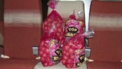 Boeing usa papas para las pruebas de las se&ntilde;ales inal&aacute;mbricas en vuelo 