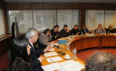 Comisi&oacute;n no recibi&oacute; informaci&oacute;n pedida sobre Pluna.