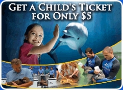 Visitantes a Seaworld  donan US$ 1 mill&oacute;n para conservaci&oacute;n de vida silvestre