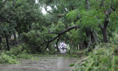 El mismo ruido del viento que en 2005