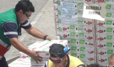 35% de comercio mundial viaja por avi&oacute;n 