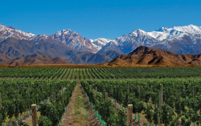 Turismo en Mendoza, la autocr&iacute;tica que nos debemos