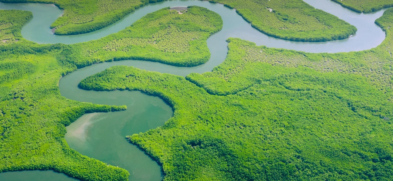 La COP30 contará con jornadas temáticas de turismo