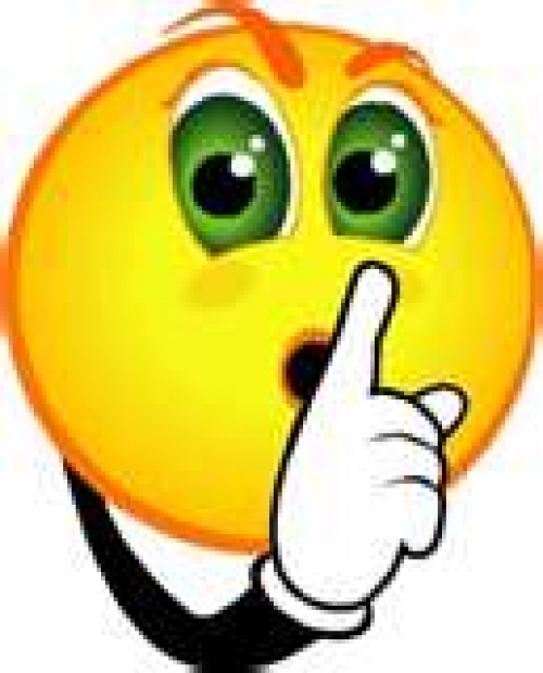 "Nadie me dijo nada...". Mamarrachos administrativos