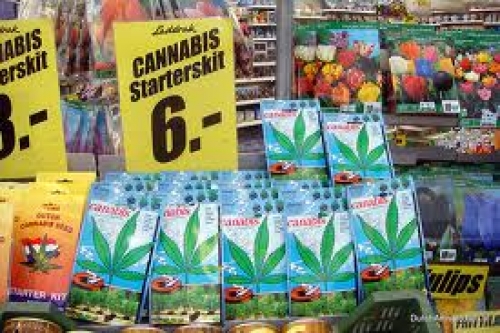 Holanda prohibir&aacute; la venta de cannabis a los extranjeros