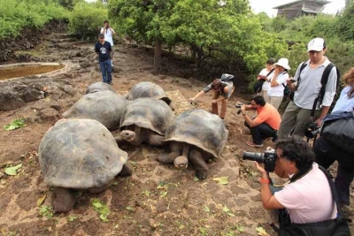 Conozca las Islas Gal&aacute;pagos en el Pac&iacute;fico ecuatoriano