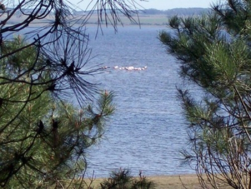 Lagunas, lagunas y m&aacute;s lagunas...