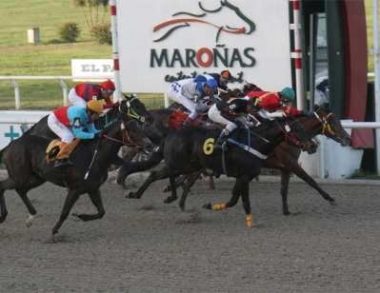 Seis de enero en Uruguay: el  deporte,  los Reyes y mucho m&aacute;s