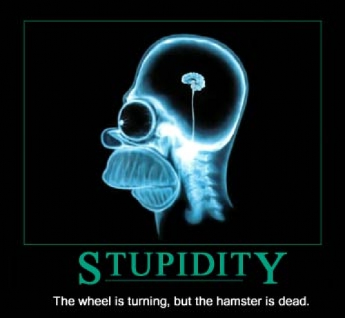 &iquest;Revenue? o &iquest;Stupidity Management?