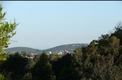 Paseos del Uruguay: Museo de Arte de Piri&aacute;polis