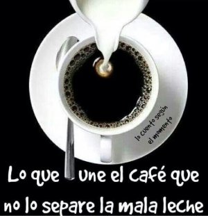 Las vacas no vuelan, pero contra Alas Uruguay la mala leche s&iacute;