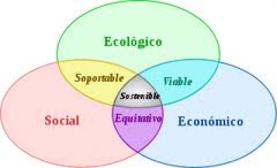 Sostenibilidad pr&aacute;ctica