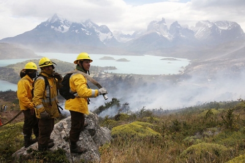  Onemi reconoce gran "complejidad" en incendios de Torres del Paine y el Biob&iacute;o