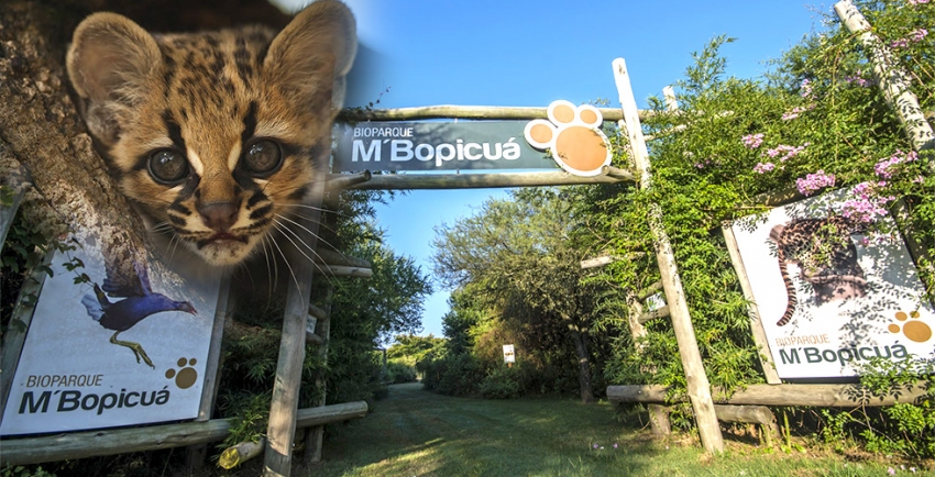 Bioparque M'Bopicu&aacute;:  "Detr&aacute;s de todo proyecto exitoso siempre hay un so&ntilde;ador y un conductor..." #TourXelLitoralUyPDA
