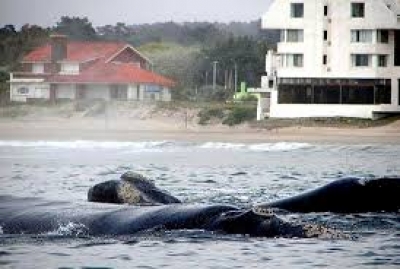 Agenda de actividades en Maldonado entre el 25 de julio y el 1&ordm; de agosto de 2018