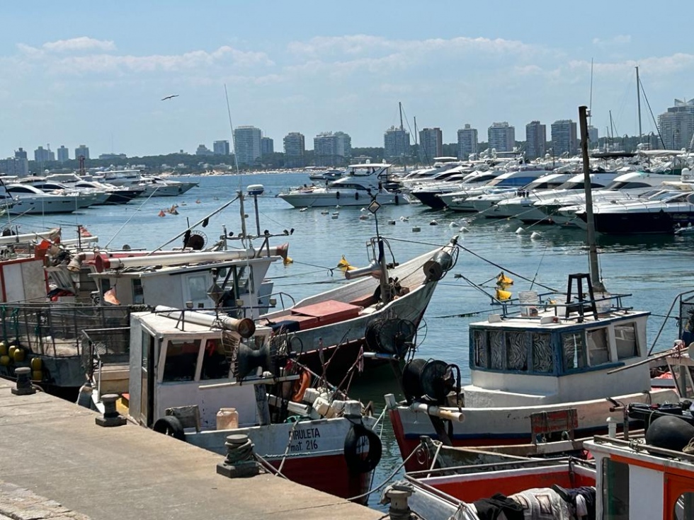 Cuidemos el producto &quot;Destino Uruguay&quot; y tengamos memoria