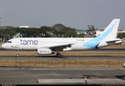 Tame / Sabre