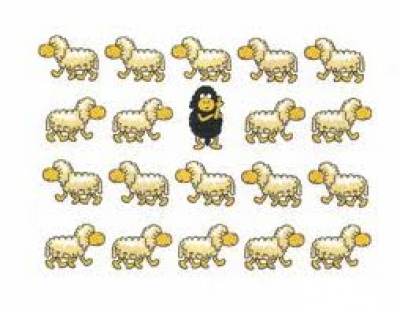 Formaci&oacute;n para el criterio