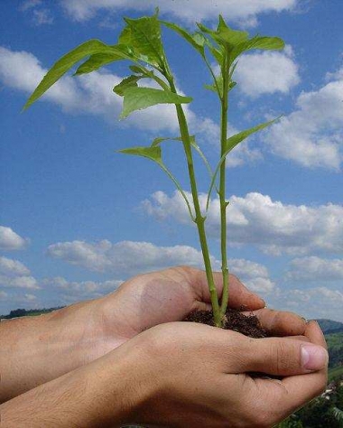 Una verdad conveniente para el turismo: Turismo sustentable y energ&iacute;a renovable para la paz