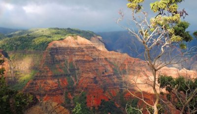 A una hora de Honolulu, una inmensa mata verde tropical, donde se rodó “Lost”, alberga los mayores sitios arqueológicos hawaianos.