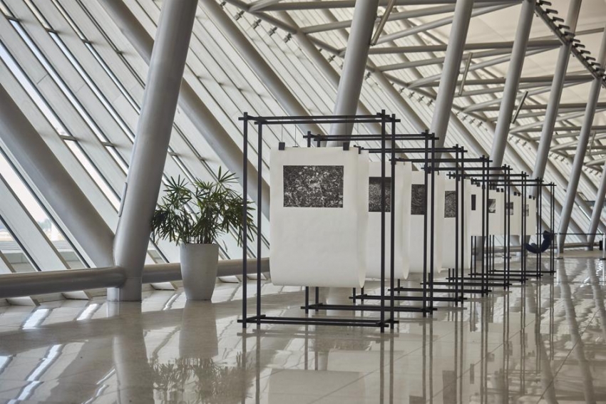 Muestra de arte celebra v&iacute;nculo entre Uruguay y Jap&oacute;n en el Aeropuerto de Carrasco