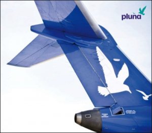 &iquest;Qui&eacute;n, por qu&eacute; y para qu&eacute; cerr&oacute; Pluna?