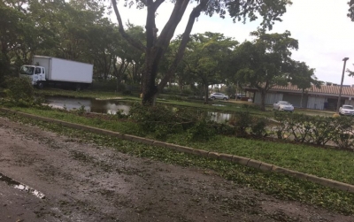 El d&iacute;a despu&eacute;s del pasaje del hurac&aacute;n Irma por Miami