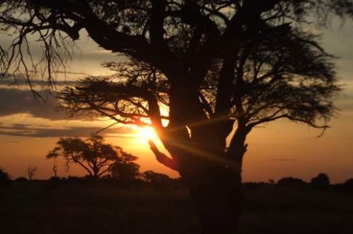 Dulces (y at&iacute;picos) sue&ntilde;os en &Aacute;frica