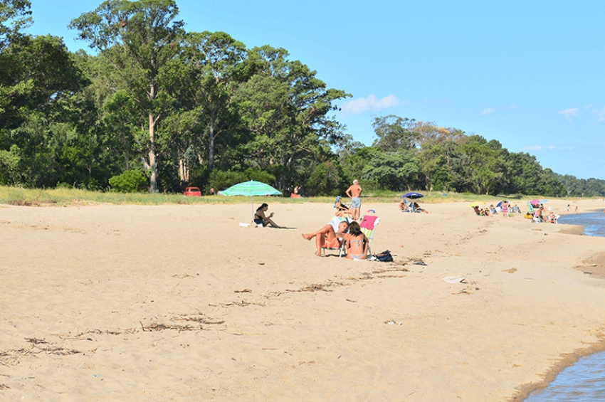 Playa Fomento, Colonia
