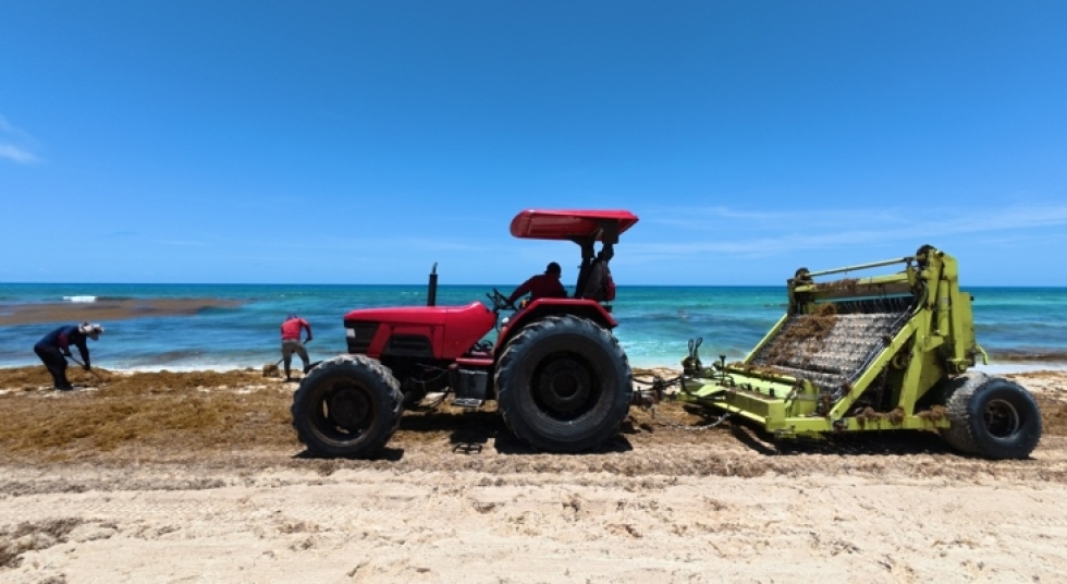 México pone precio al sargazo y fomenta su recolección