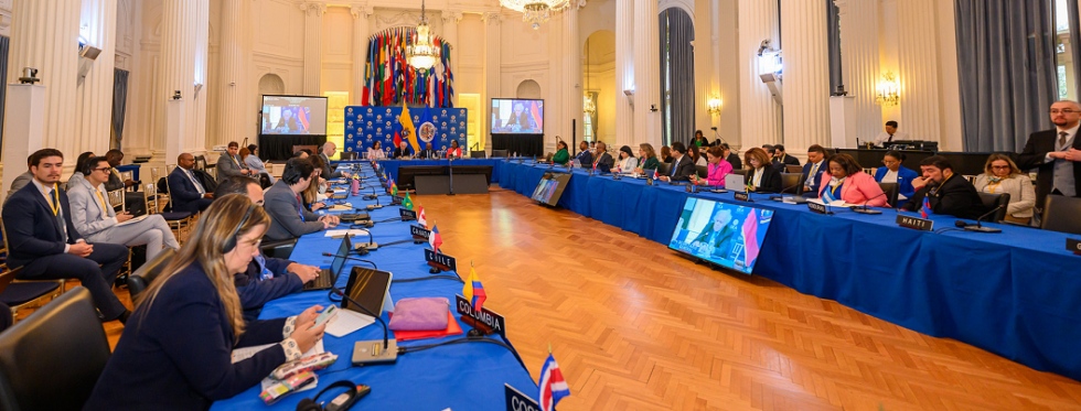 FEDESUD llevó la voz del sector privado sudamericano ante la OEA