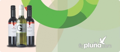 Filgueira cerr&oacute; importante acuerdo con Pluna